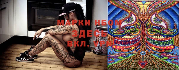 стаф Бугульма