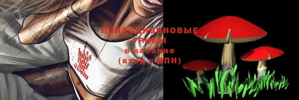 стаф Бугульма