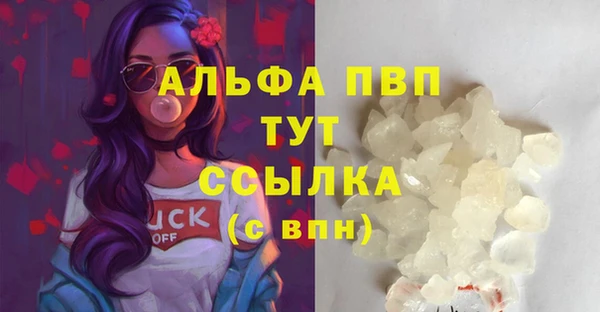 стаф Бугульма