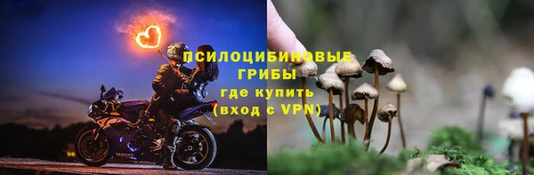 ешки Бородино