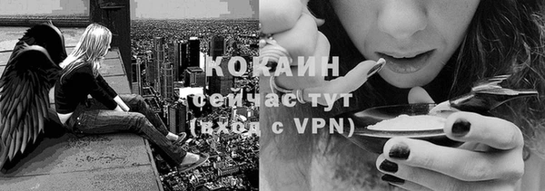 ешки Бородино
