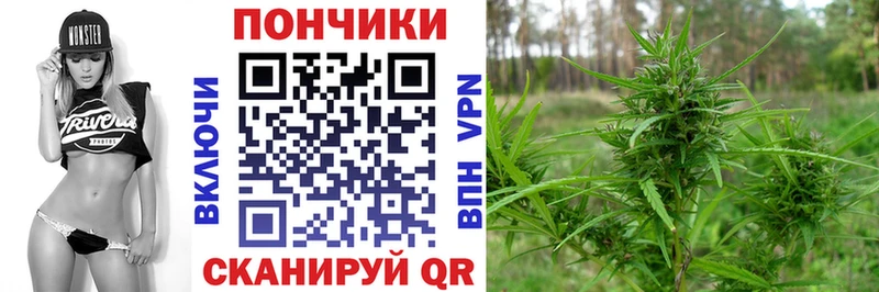 Каннабис OG Kush  Купить  Дрезна 